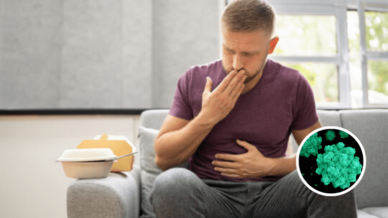 Norovirus Spreads Fast; Hits the Northeast the Worst