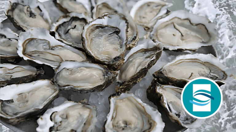 Irish Group Warns About Bugs in Ocean Foods