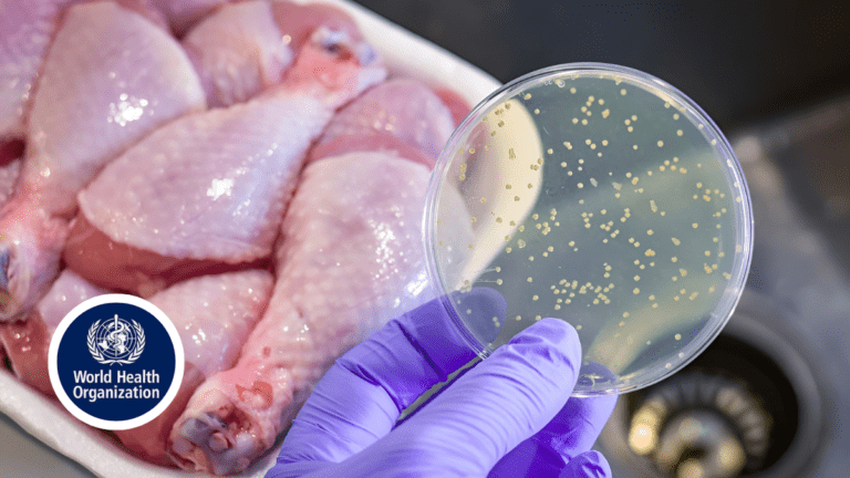Top Ways to Beat Chicken Germs by Food Pros