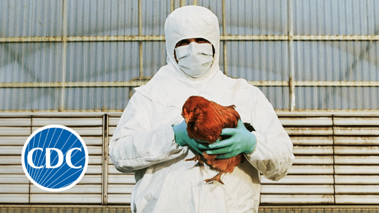 Second Person in the U.S. Gets Bird Flu, Risks Are Still Low