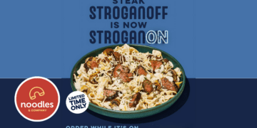 Steak Stroganoff Is Back at Noodles & Company on April 10!