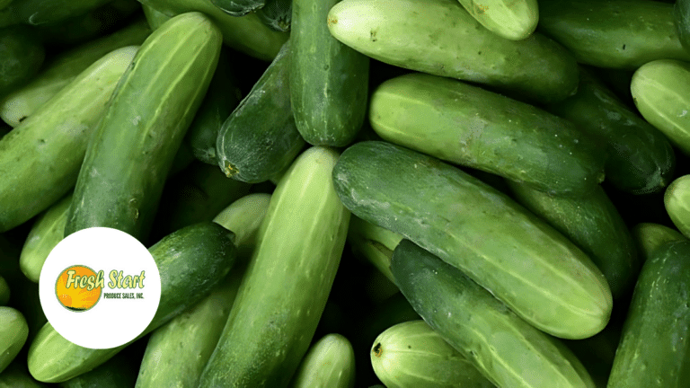 Alert: Nationwide Cucumber Recall Due to Salmonella Scare