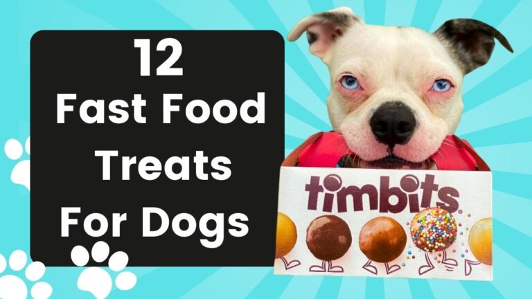 12 Dog Friendly Restaurants With Special Treats