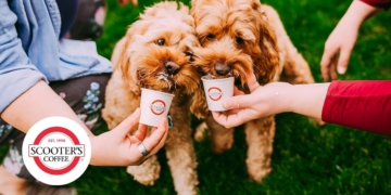 Celebrate National Dog Day Free Toys and Treats at Scooter's Coffee