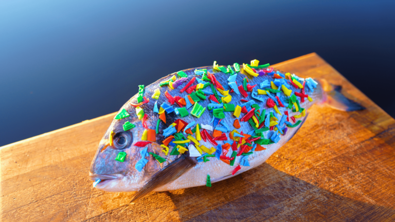 Stop Eating These 12 ‘Healthy’ Foods That Are Full of Microplastics