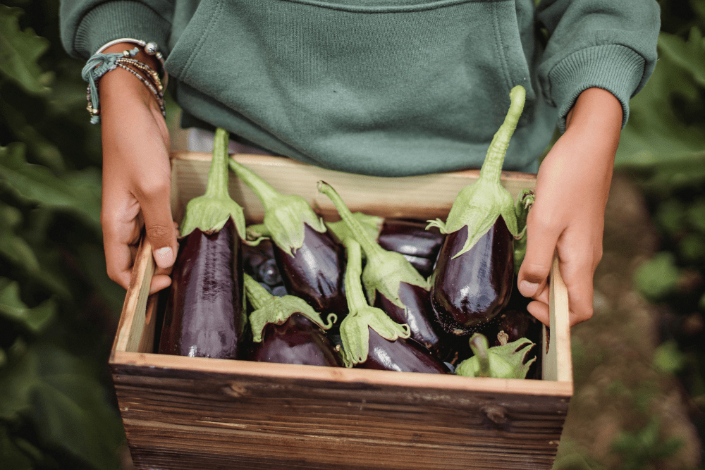 The 10 Vegetables That Are Healthier When Cooked 5 Eggplant