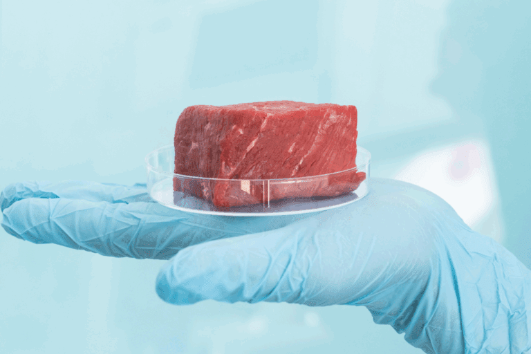 The 8 Most Controversial Foods Ever Banned Around the World