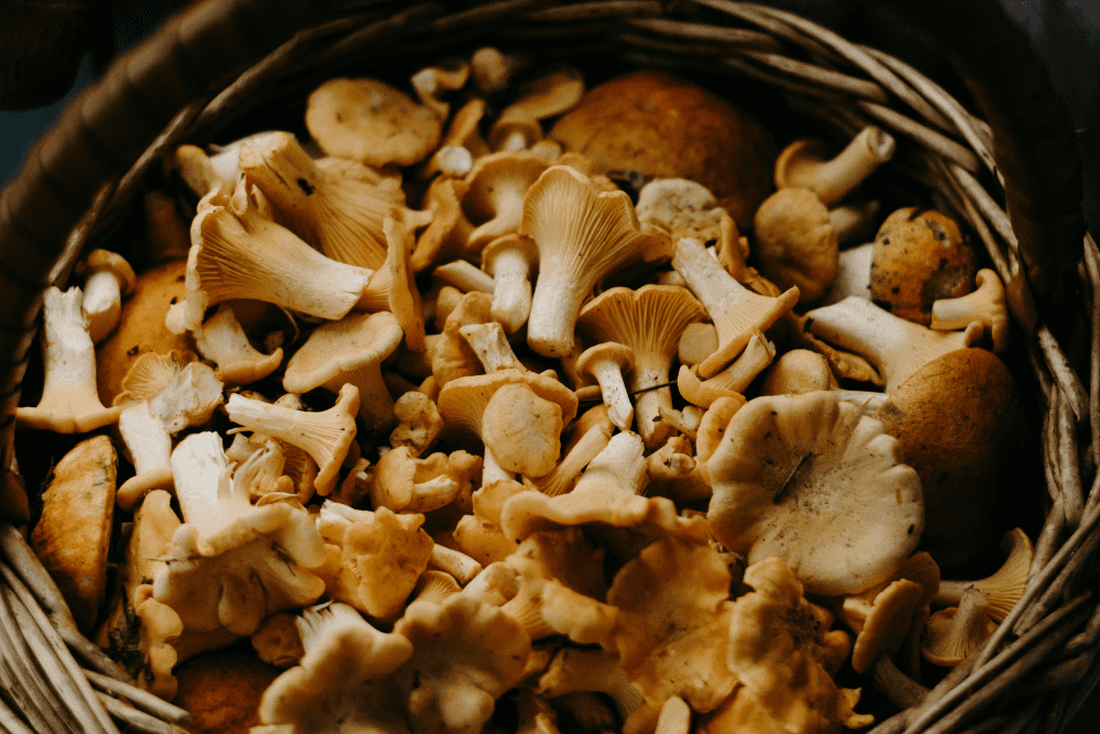 The 10 Vegetables That Are Healthier When Cooked 7 Mushrooms
