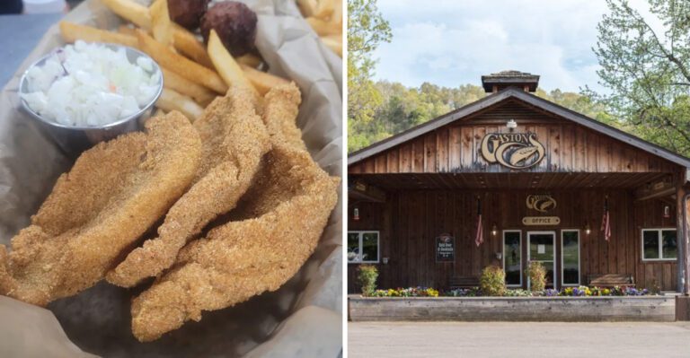 5 Arkansas Riverfront Restaurants Serving Catfish With A Side Of Backroad Quiet