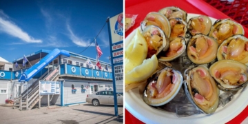 7 Tiny Island Restaurants Where the Seafood Barely Makes It Off the Boat