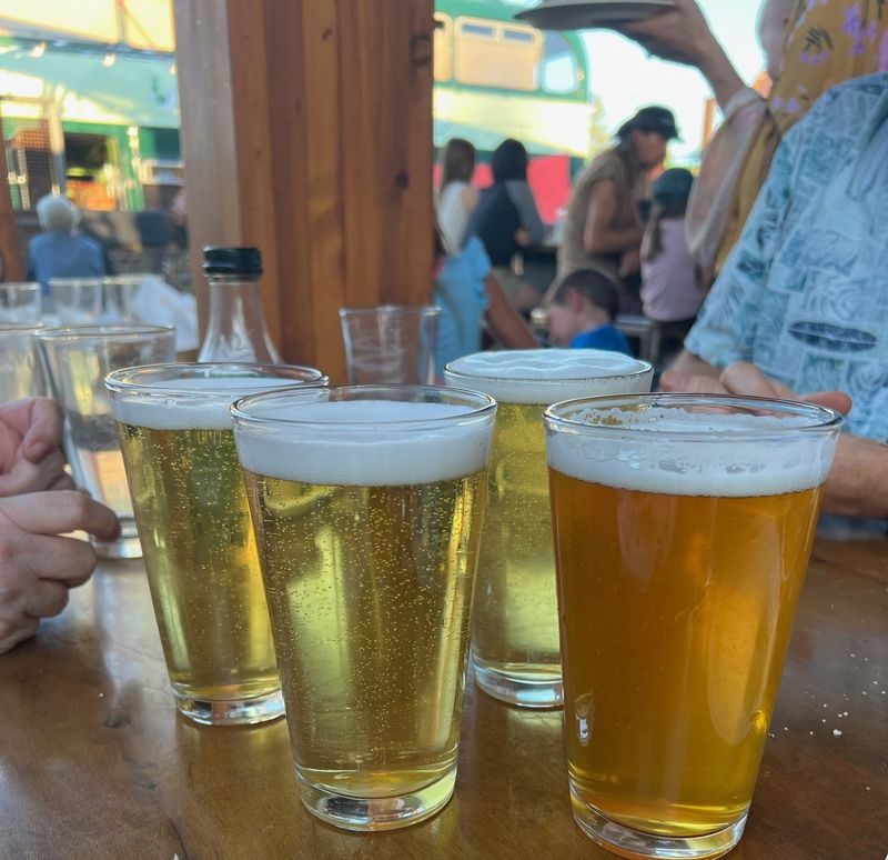 Live Music Vibes And Community Energy