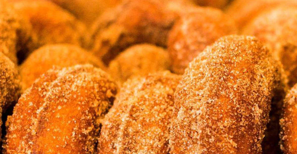 I Drove Across Upstate New York To Taste 10 Apple Cider Donut Stands and 4 Were Pure Magic