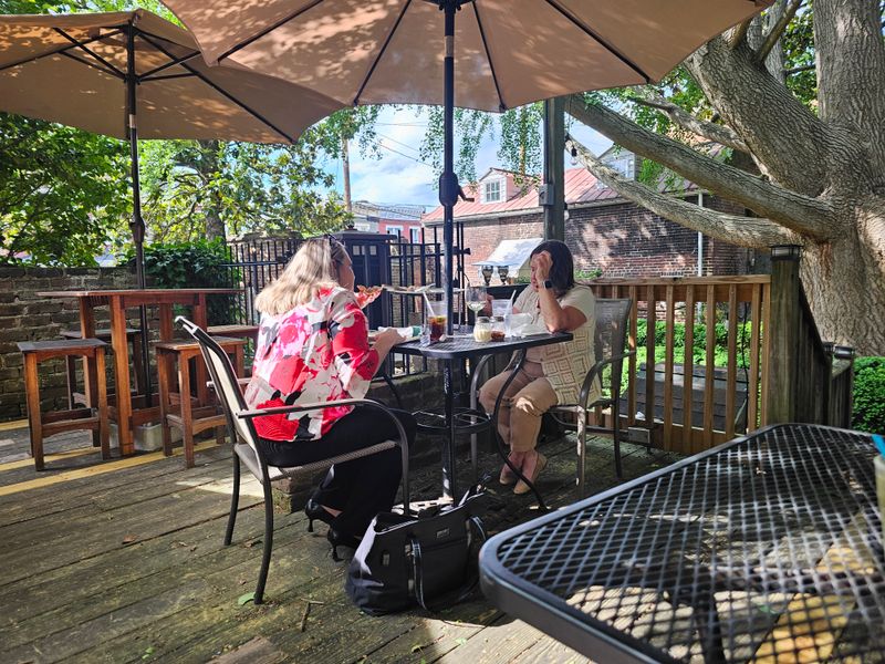 Garden Patio, Shade, And The Ginkgo