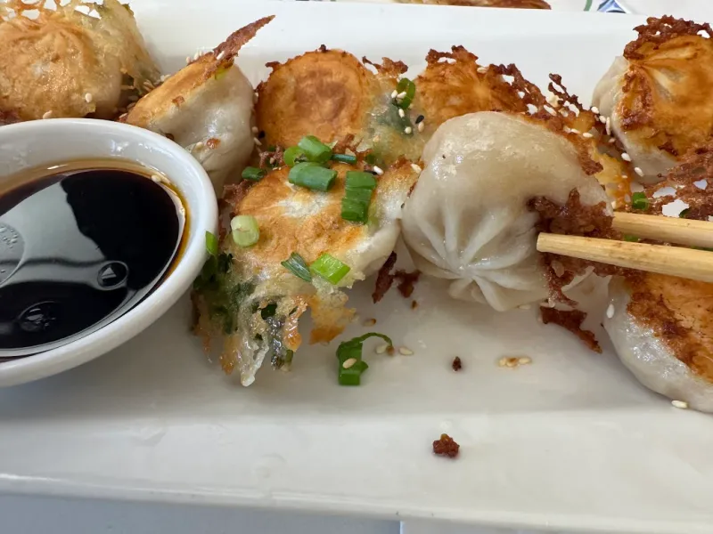 Pan-Fried Soup Dumplings