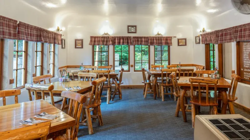 Gluten Friendly Grilled Cheese Win