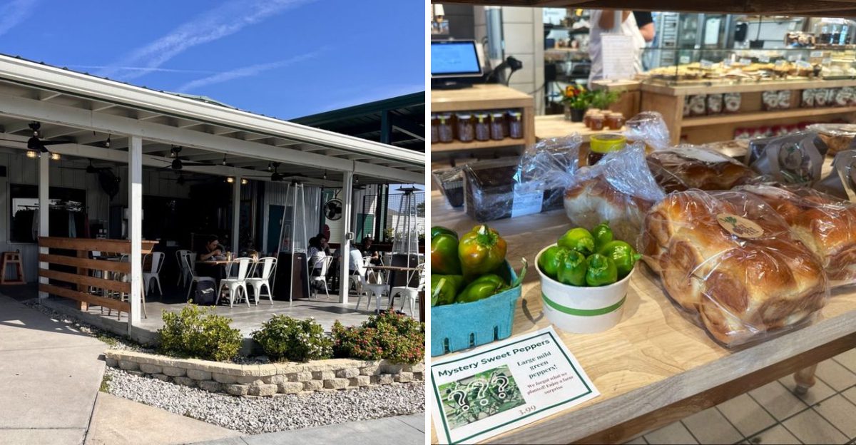 This Florida Farm Kitchens Pumpkin Bread Has Locals Stockpiling Before Thanksgiving 2