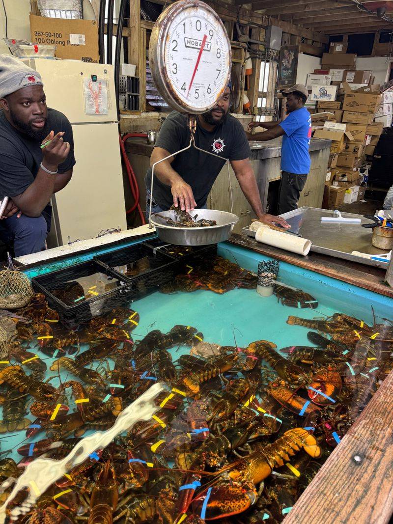 This Maine Lobster Pound Lets You Pick Your Dinner Right Off The Dock 2 Pick Your Lobster Right Off The Dock