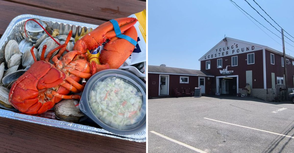 This Maine Lobster Pound Lets You Pick Your Dinner Right Off The Dock