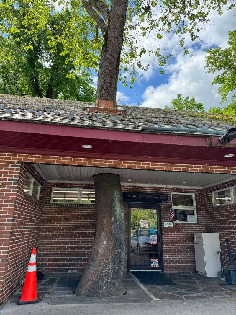 A Front Door Stuck In Time