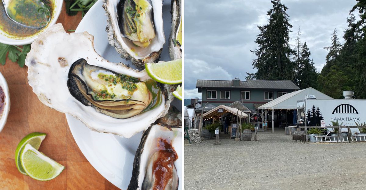 This Washington Oyster Shack Serves Tides On The Plate Fresh
