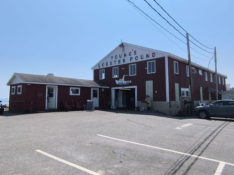 This Maine Lobster Pound Lets You Pick Your Dinner Right Off The Dock 8 Timing, Hours, And How To Beat The Rush