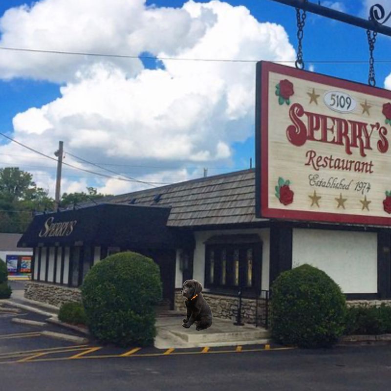 Location And Contact