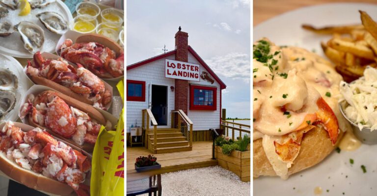 14 Connecticut Lobster Roll Windows Where The Butter Drips And Nobody Complains