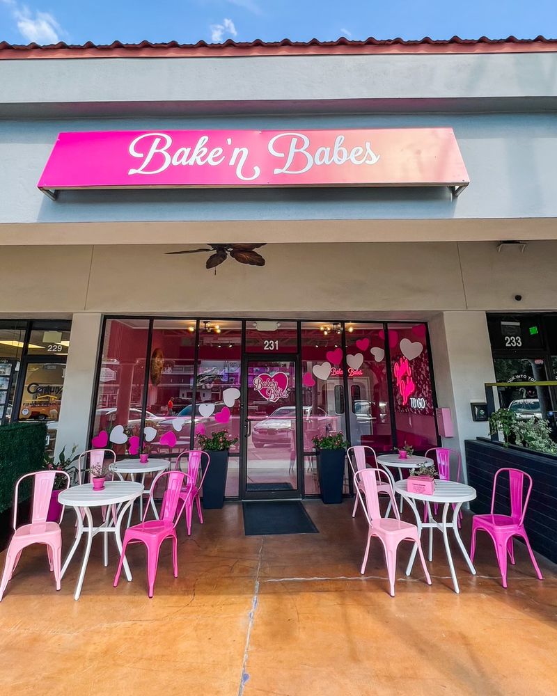 Bake'n Babes To Go - Tampa, Florida
