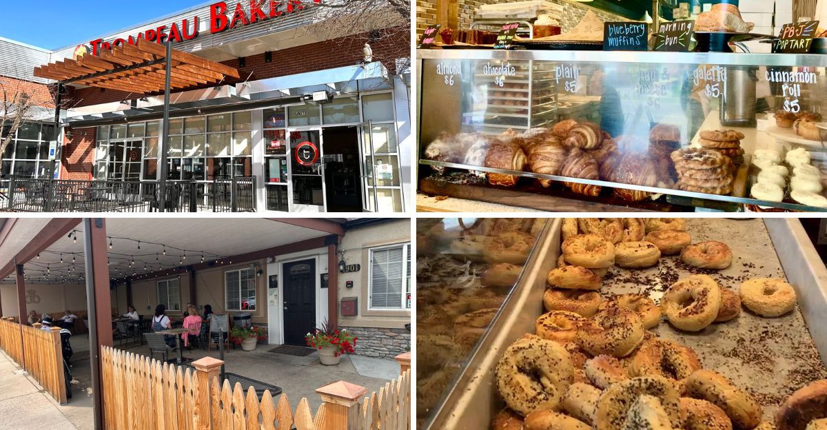15 Colorado Bakeries Where The Morning Pastries Disappear Before The Sun Fully Comes Up