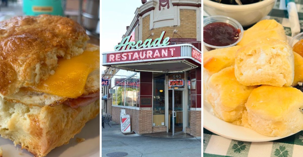 16 Tennessee Biscuit Shops Stacking Sandwiches So Tall You Have To Squish Them First