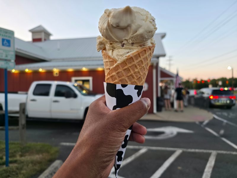 Moo Thru - Remington, Virginia