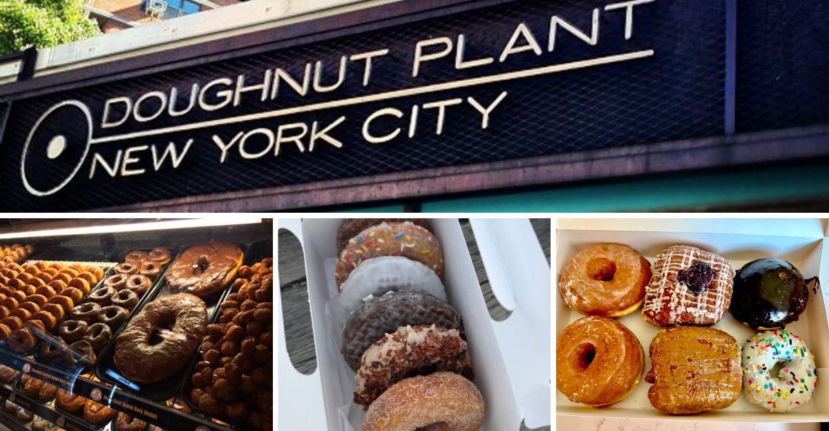 23 Small-Town Bakeries Across America Selling Cinnamon-Sugar Doughnuts That Vanish by Mid-Morning 5 23 Small-Town Bakeries Across America Selling Cinnamon-Sugar Doughnuts That Vanish by Mid-Morning