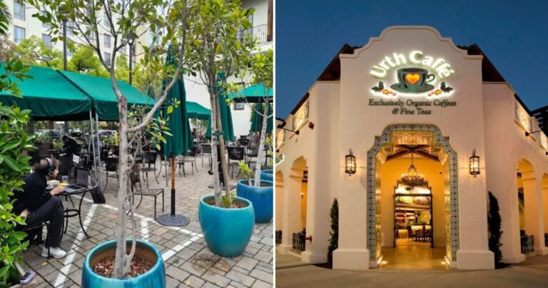 9 Secret California Courtyard Cafés Locals Love More Than The Tourist Spots