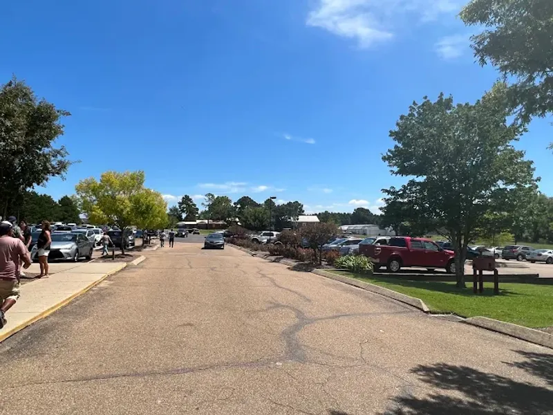 This Mississippi Buffet Serves Southern Comfort Food Locals Say Is Worth Loosening The Belt 33 How to Find Us