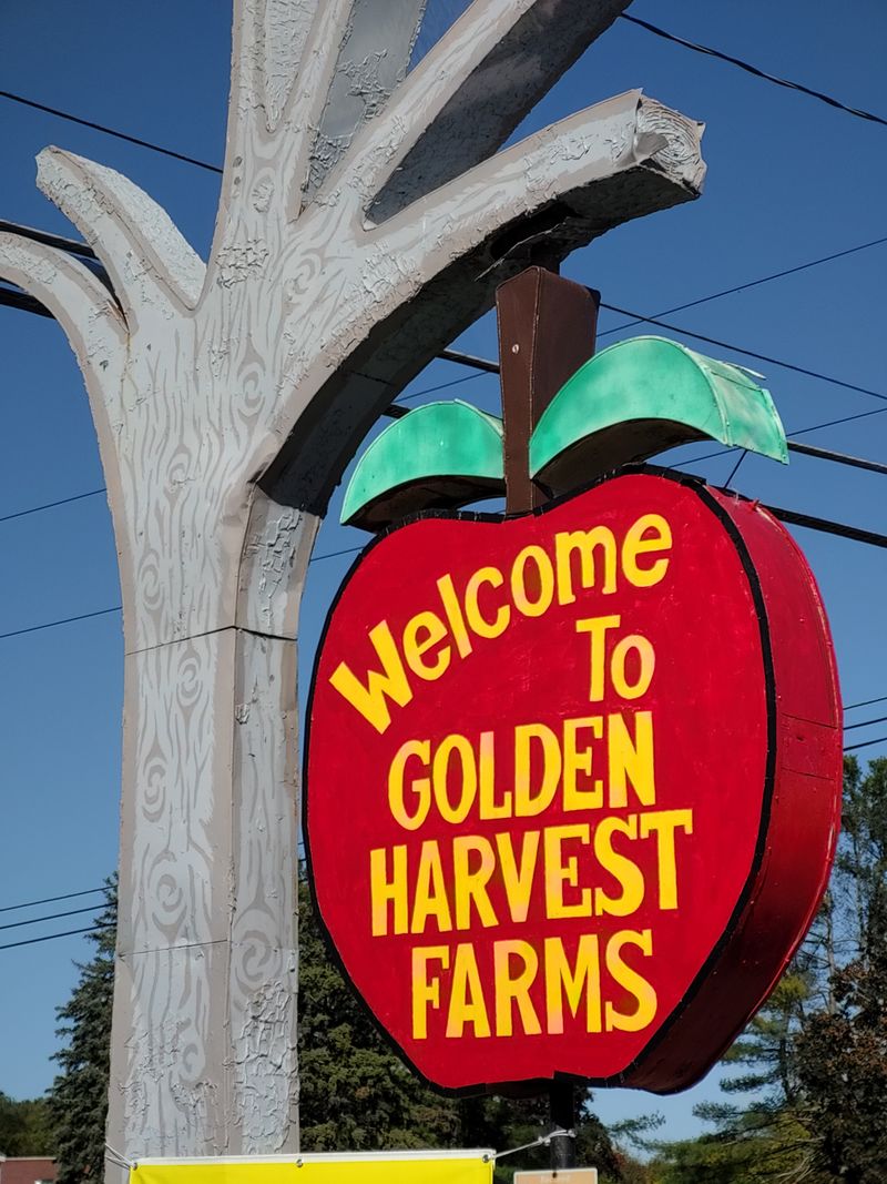 Photo Ops And Social Sharing