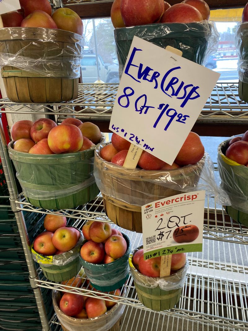 Family-Friendly Tips For Visiting