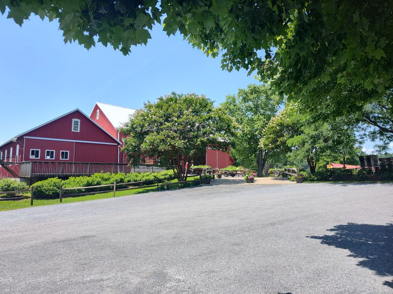 Larriland Farm Inc - Woodbine, Maryland