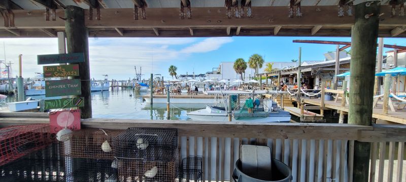 Garlic Butter Snow Crab Clusters