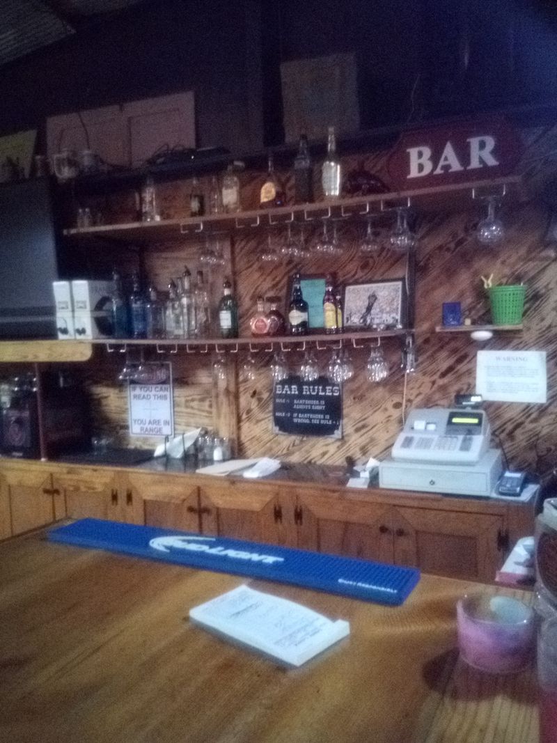 Pendleton Sandbar - Dumas, Arkansas