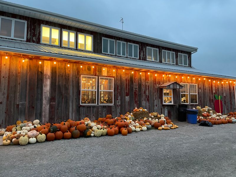 Wilson's Orchard & Farm (Iowa City) - Iowa City, Iowa