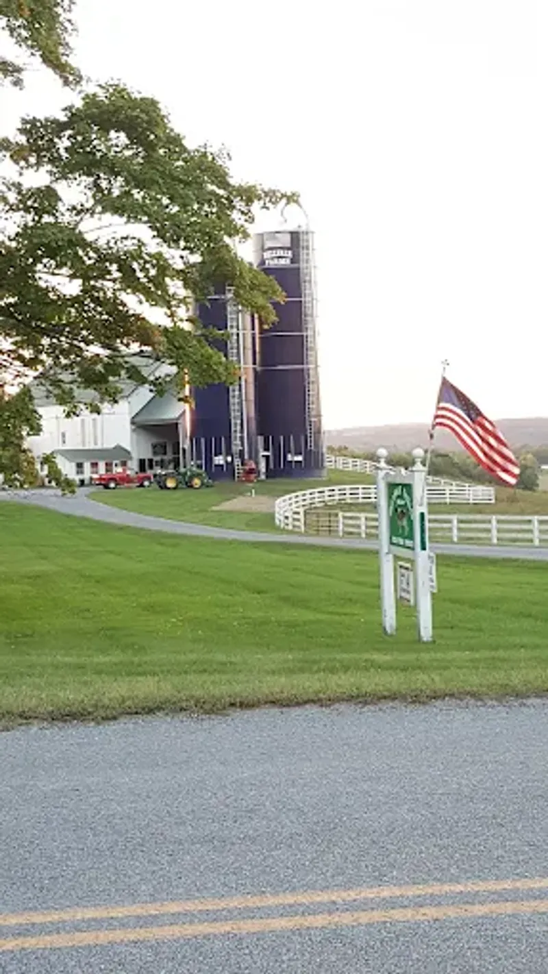 Accessibility And Parking