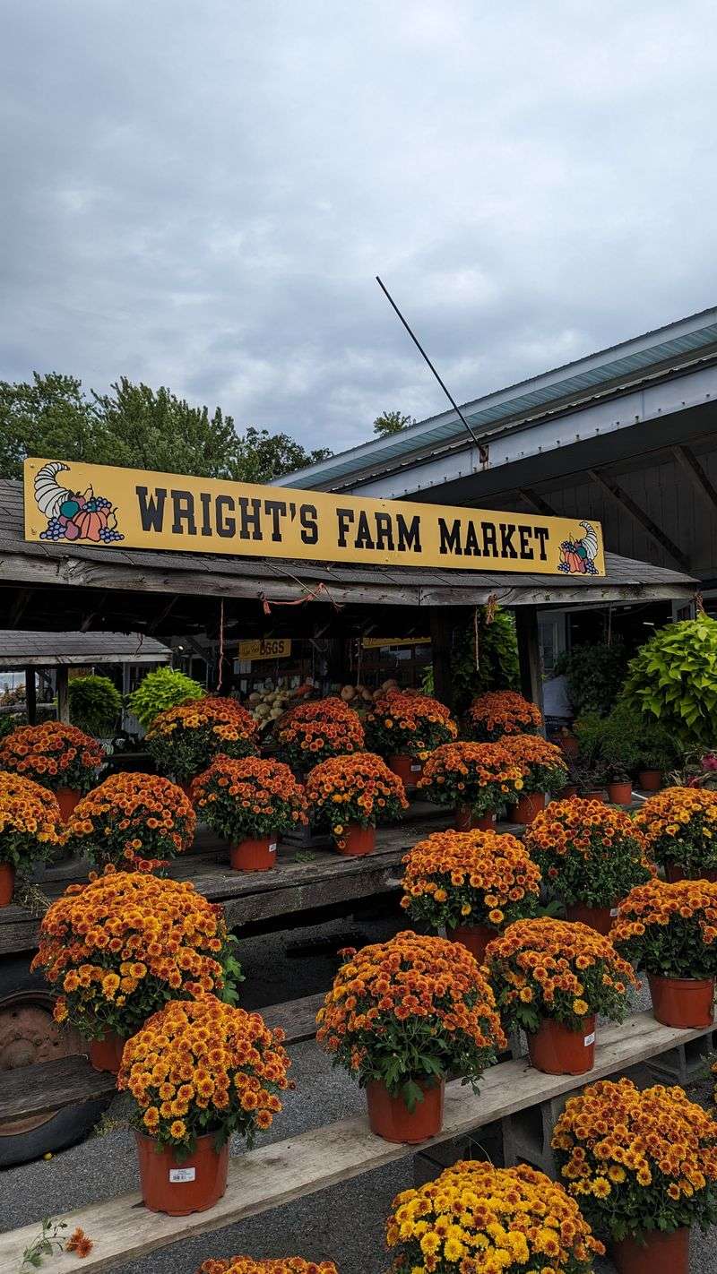 Perfect Stop on NY-208