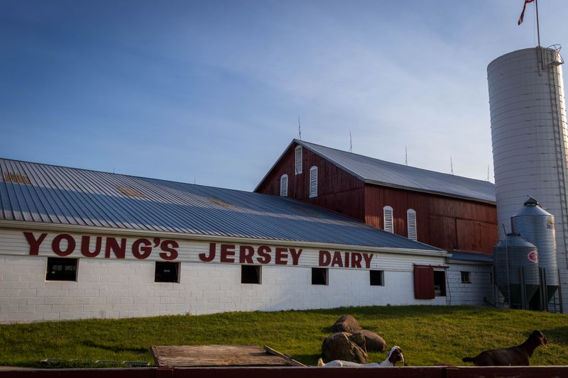 Tot Poutine Midwest Style