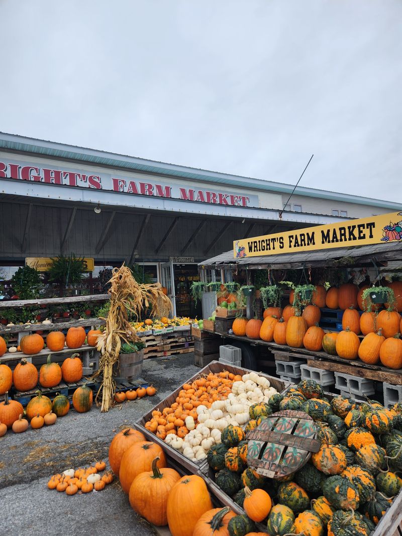 Bring-Home Boxes and Gifts