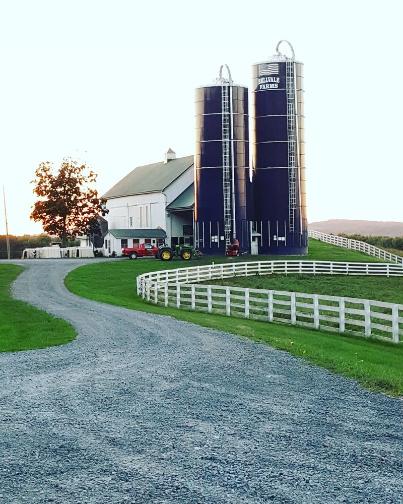 Signature Bellvale Bash Sundae