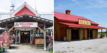 I Drove Across America To Try 10 Apple Cider Donut Stands and 5 Were Pure Magic