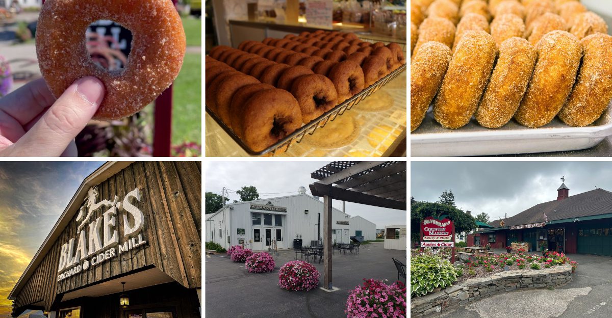 I Drove Across America to Taste 19 Apple Cider Donut Stands, and 4 Were Pure Magic