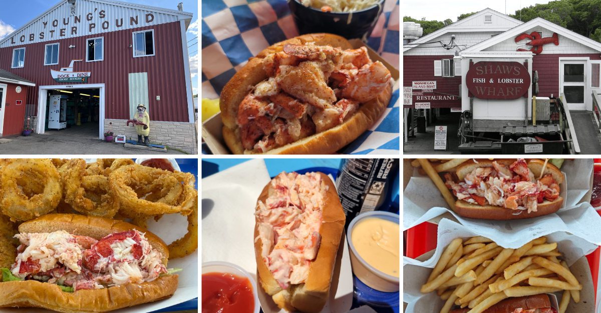 I Drove Across Maine To Taste 12 Lobster Roll Shacks And 4 Were Pure Magic 5 I Drove Across Maine To Taste 12 Lobster Roll Shacks And 4 Were Pure Magic