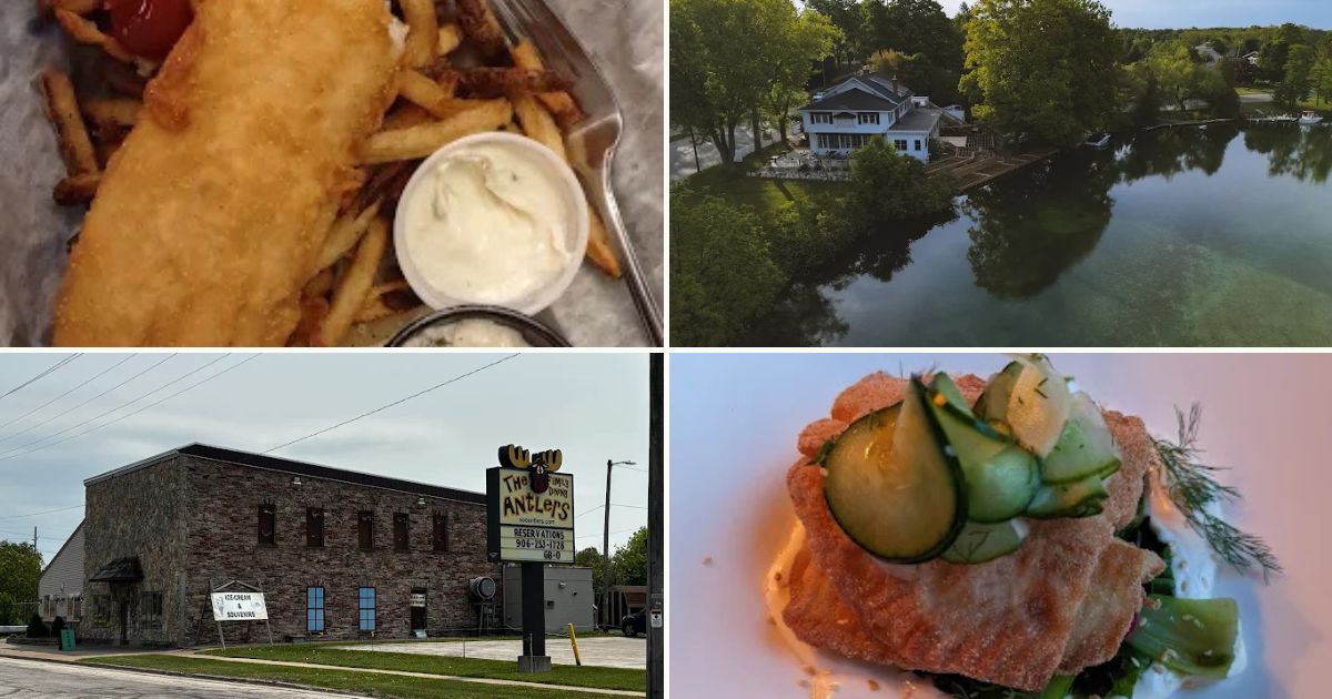 I Drove Across Michigan To Taste 13 Fried Fish Dinners And 5 Felt Like A Vacation On A Plate 1