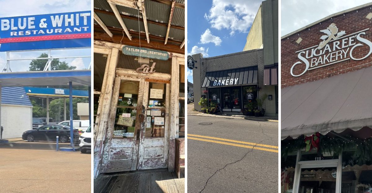 I Traveled Across Mississippi To Try 11 Fried Pie Stops And 5 Were Gone In Two Bites